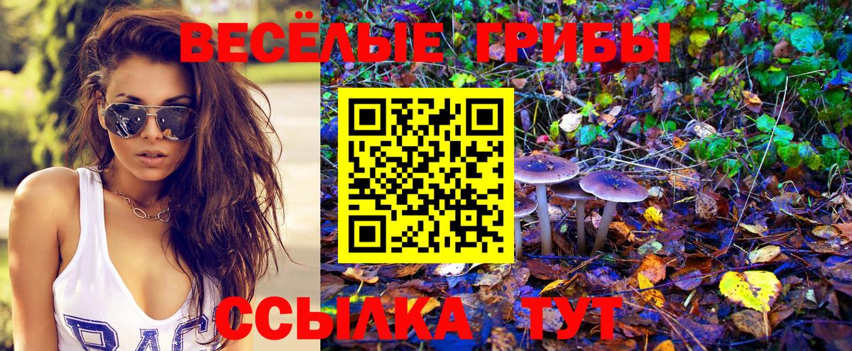 Галлюциногенные грибы ЛСД Черкесск